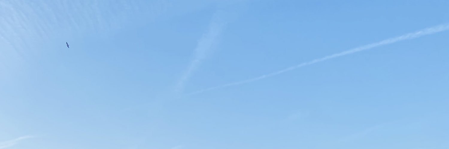 ireeemsk's profile banner image