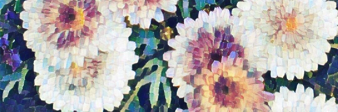 _Prxsc's profile banner image