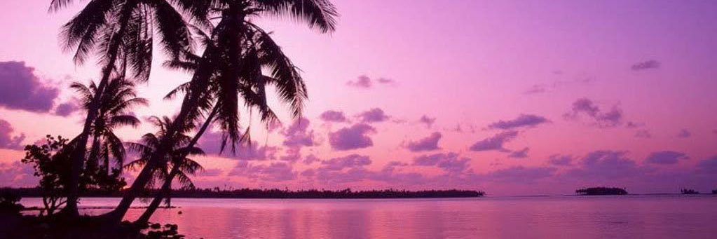 🪶🫧 doe 🫧🪶🎨🌱🎭 banner