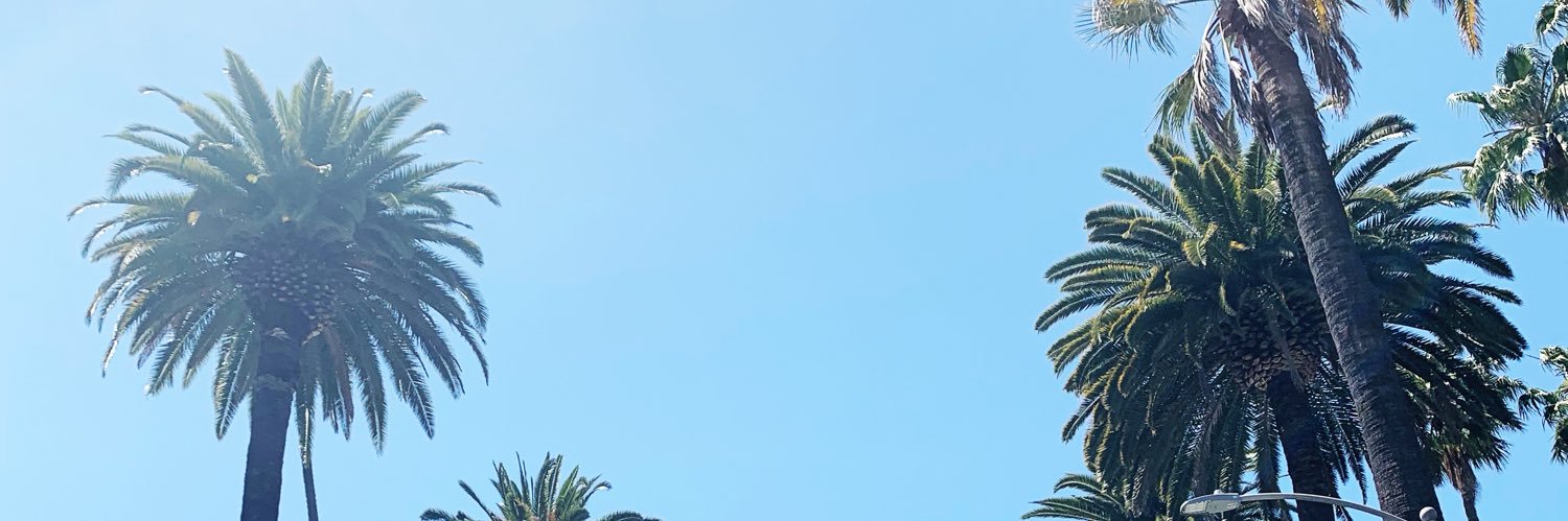 _sidneynikole's profile banner image