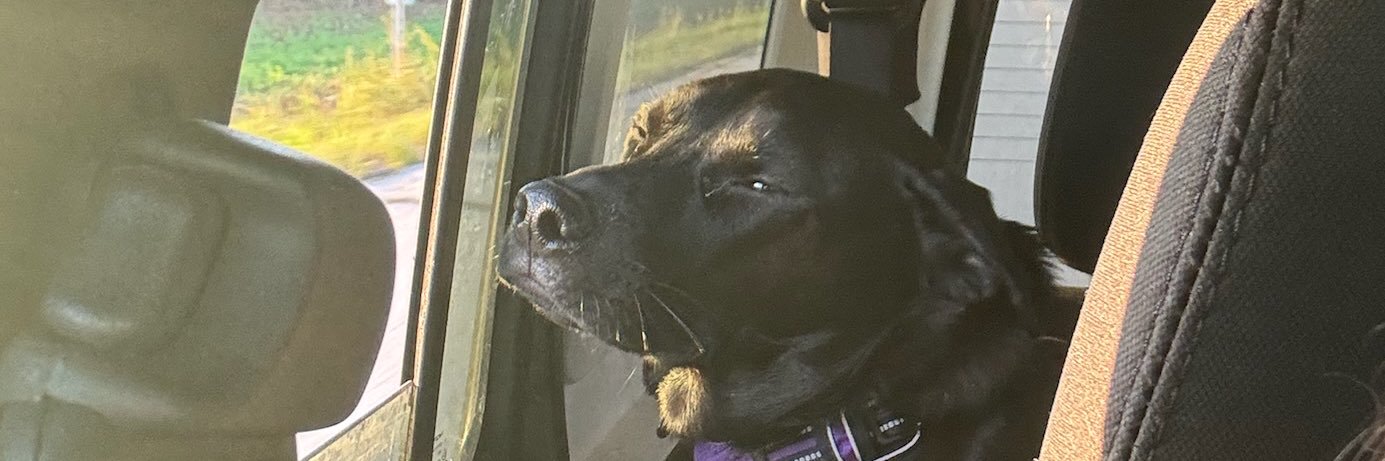 ColeZHopkins's profile banner image
