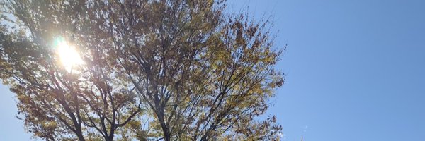 fuujiipeko Profile Banner