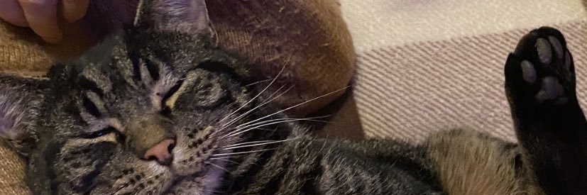 MissDBoyce's profile banner image