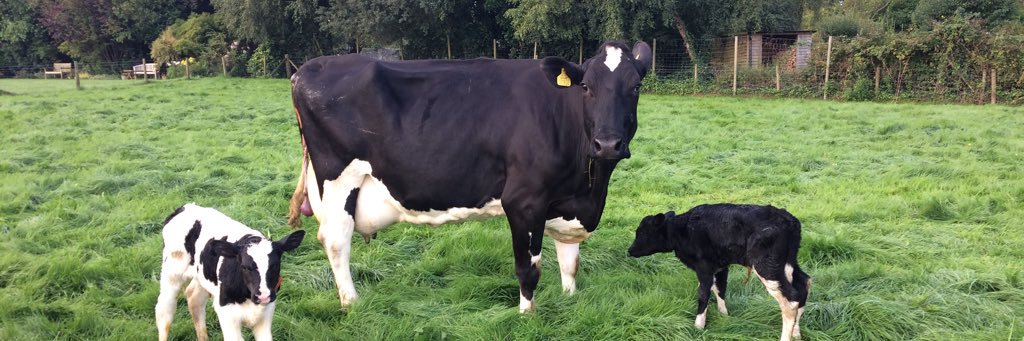 farmerranson's profile banner image