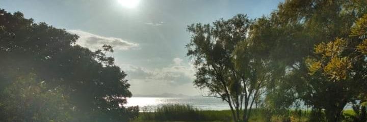 IsisQuezada's profile banner image