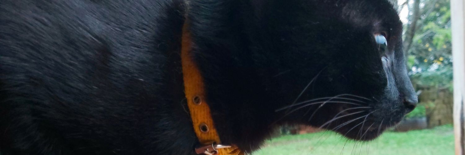 kattideandrade's profile banner image