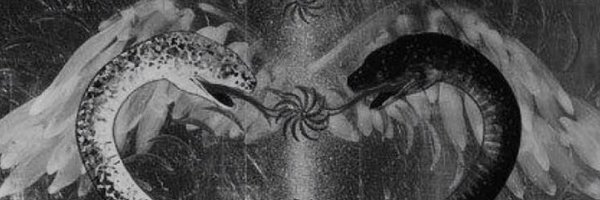 ceren_cavus's profile banner image