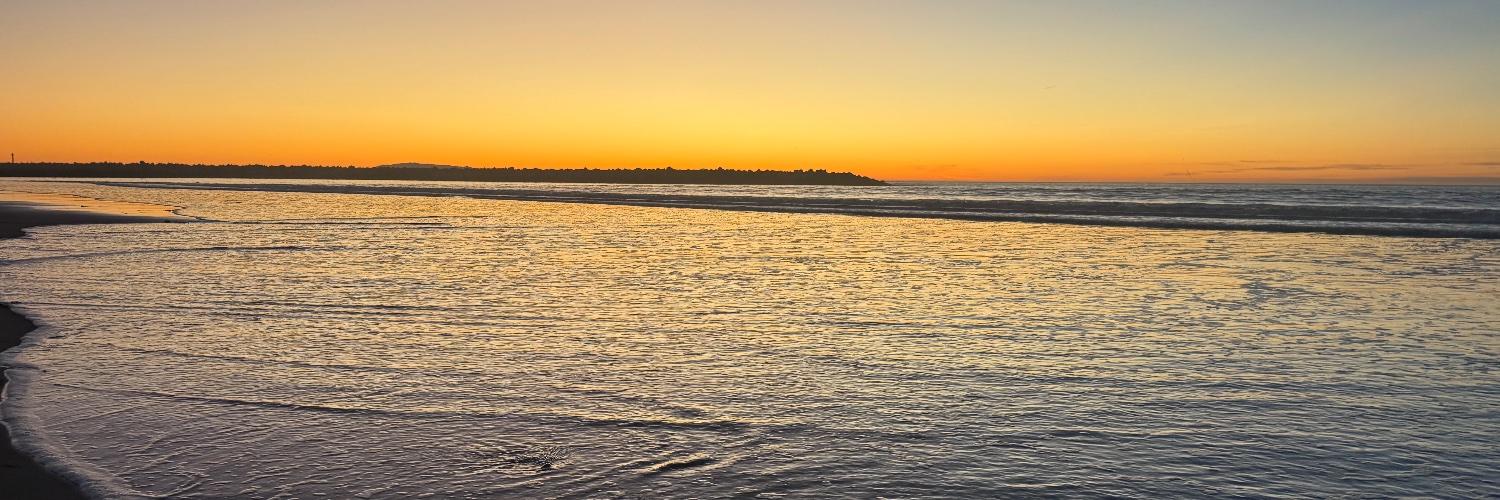 verovicente's profile banner image