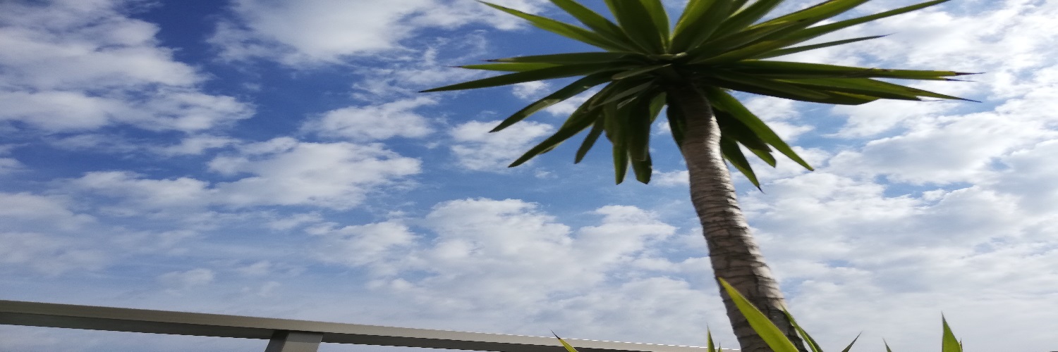 jagapiku's profile banner image