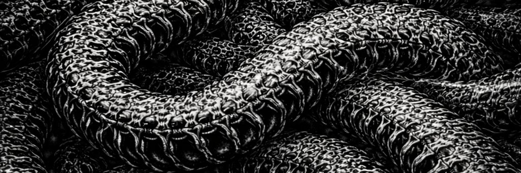 empyr's profile banner image