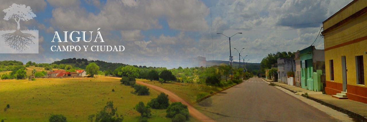 Inmob_Timbo's profile banner image