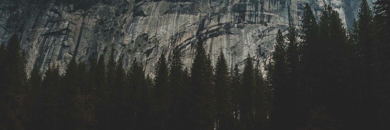 noviarhmi's profile banner image