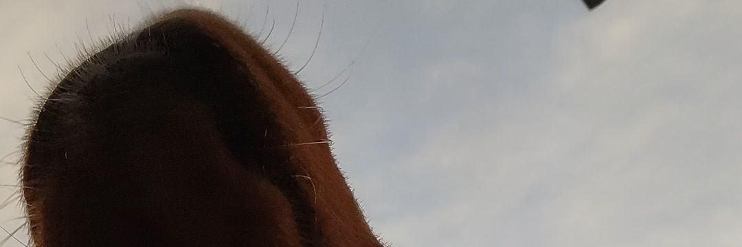 _milagrosro's profile banner image