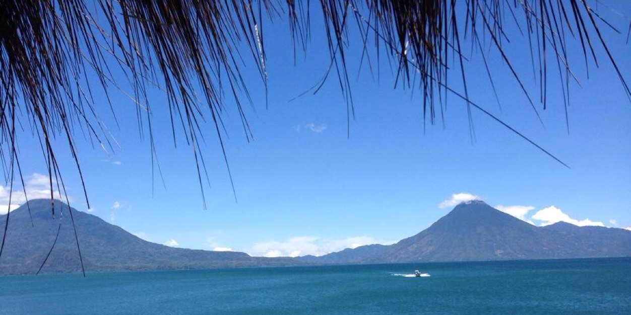 @CarlosTryidero☮️ banner