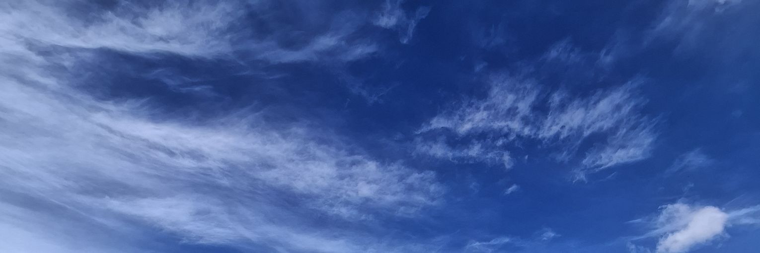 anxmxn's profile banner image