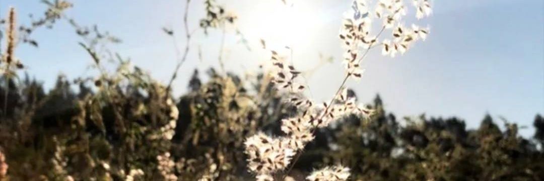 larimartinezf's profile banner image