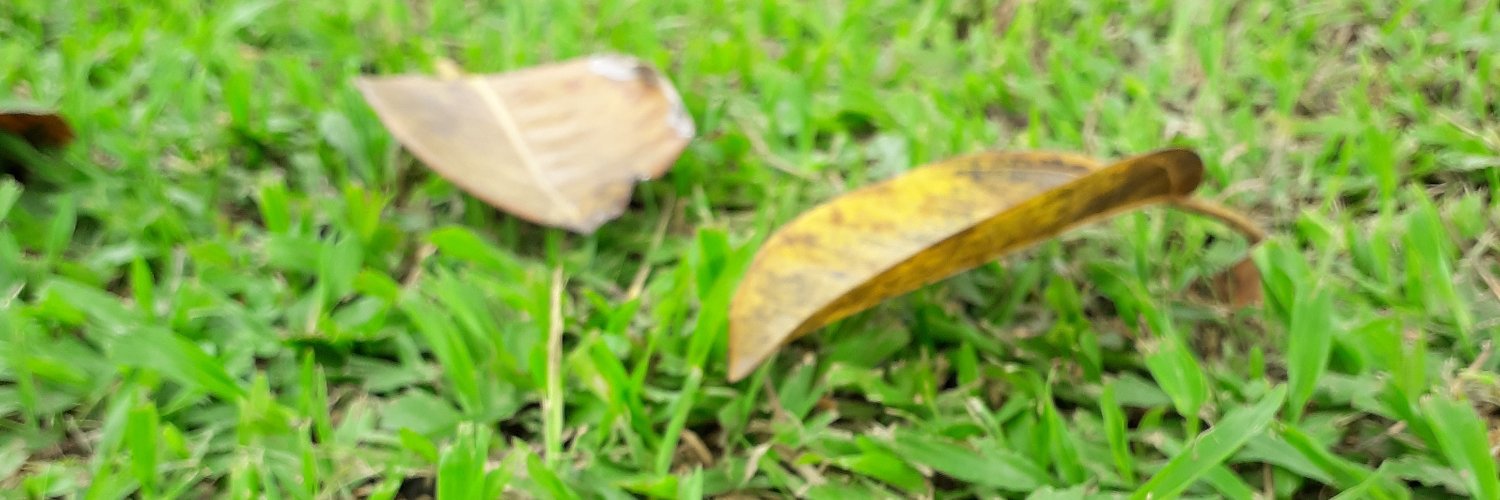santi_lest's profile banner image