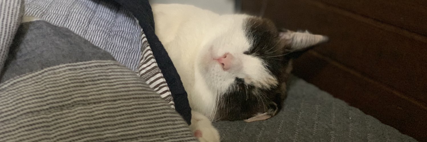 gonzorama13's profile banner image
