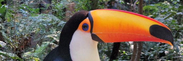 daniloze Profile Banner