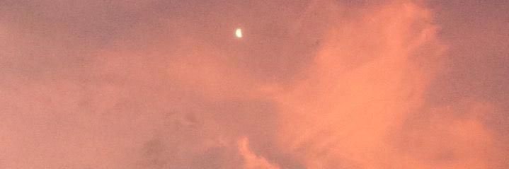 sandromadaire__'s profile banner image