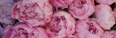 melisax14's profile banner image