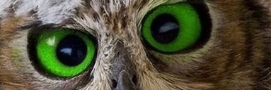 Tony1315Tenyx's profile banner image