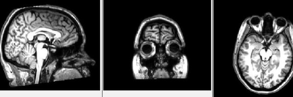 lizmcmanus93 Profile Banner