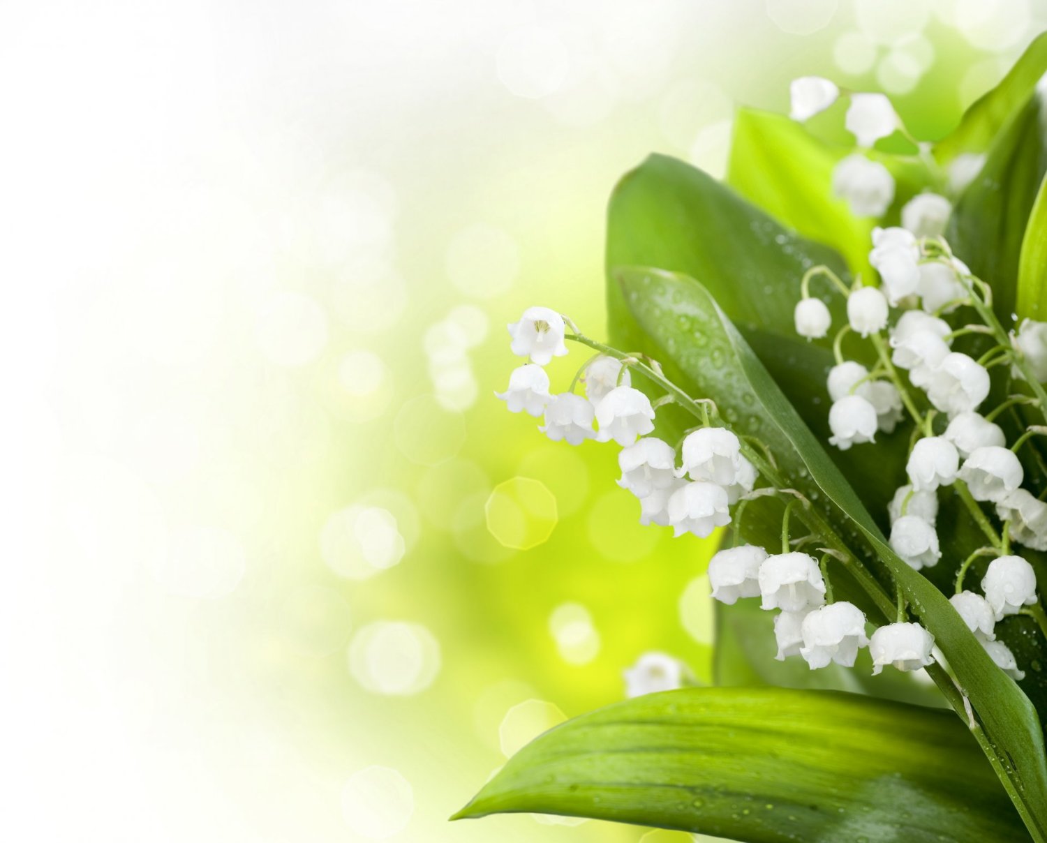 loveworkfriends's profile banner image