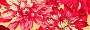alicavallo's profile banner image