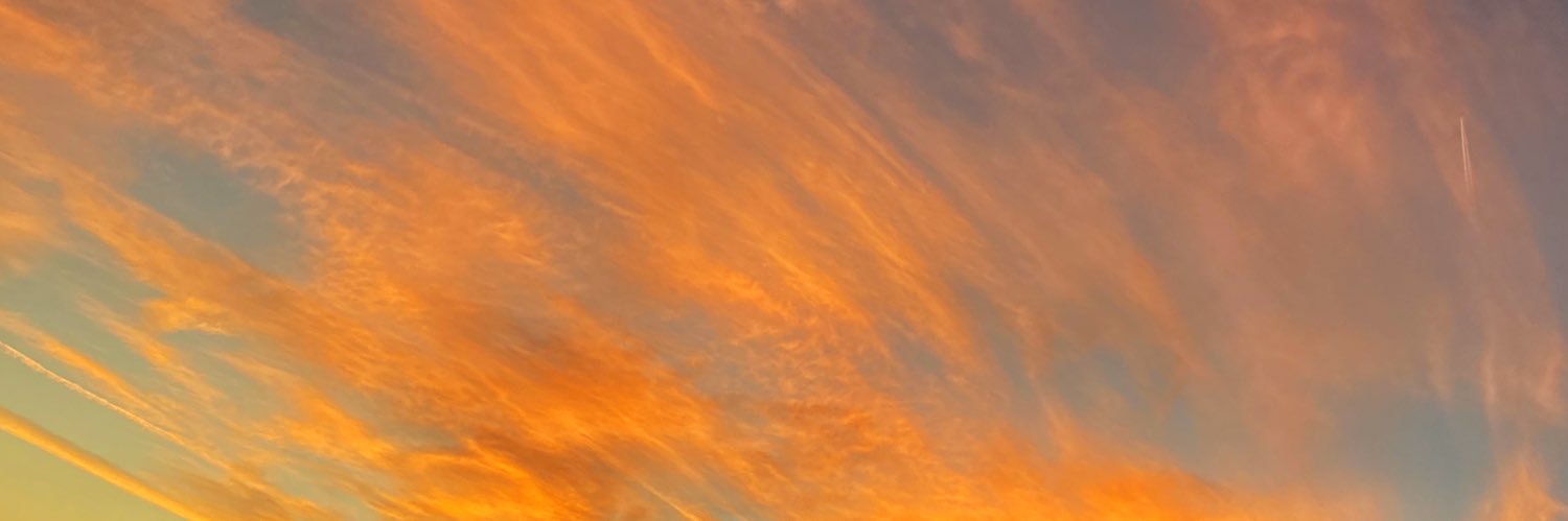 estellehenzen's profile banner image