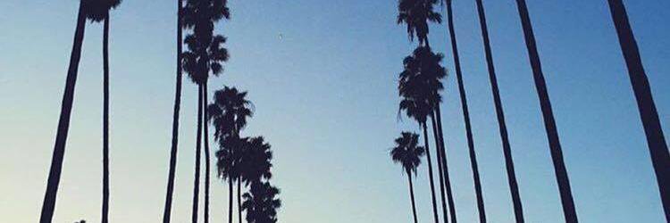 AlonzoAngie1's profile banner image