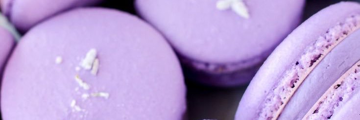 caprisonnexcake's profile banner image