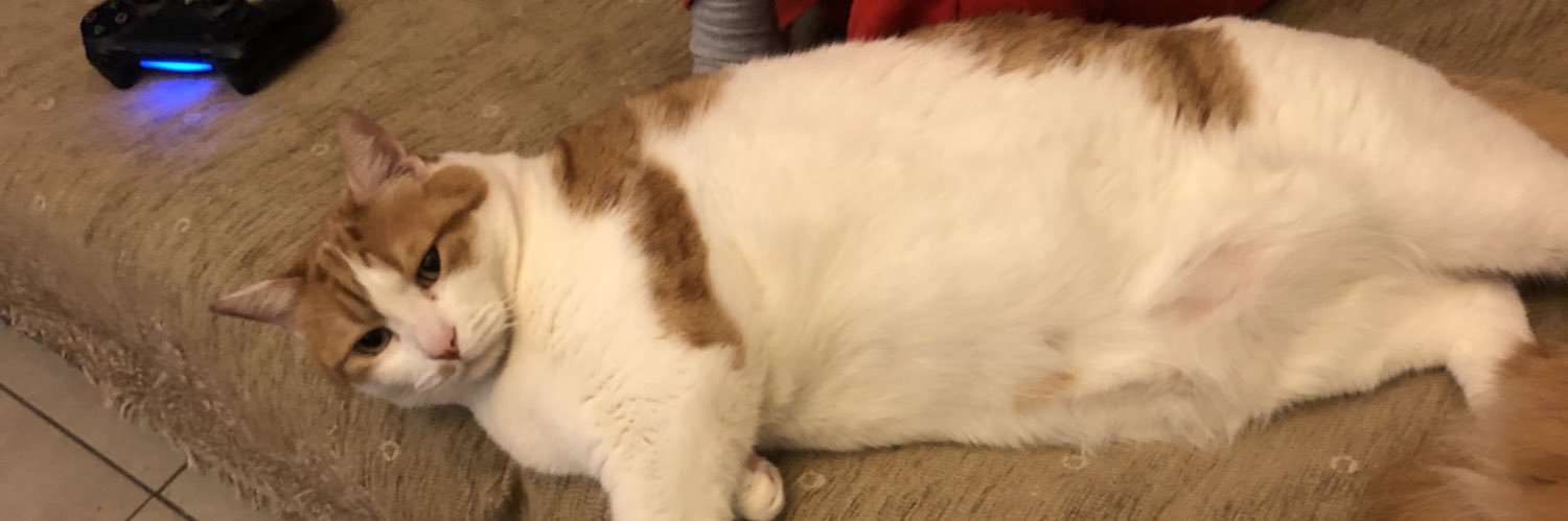 Marko banner