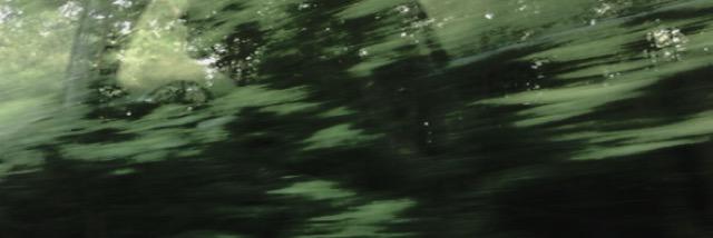 HoldridgeRPG's profile banner image