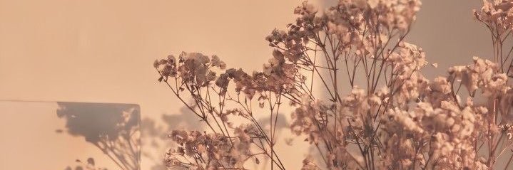 nahyda_'s profile banner image