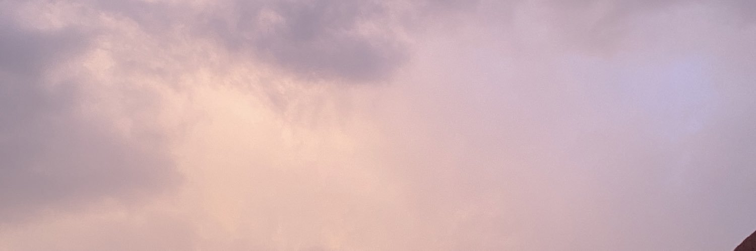 bunnychese's profile banner image