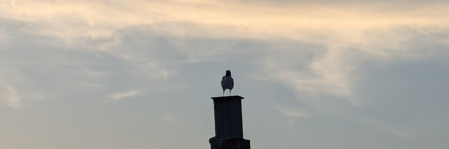 ross_sanders's profile banner image