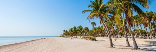 Fryenancial Profile Banner