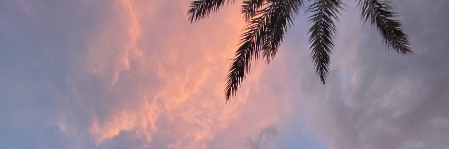 dani239_'s profile banner image