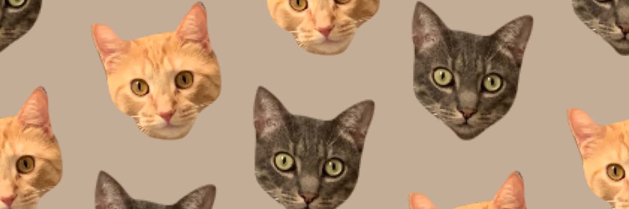 amberjfogarty's profile banner image
