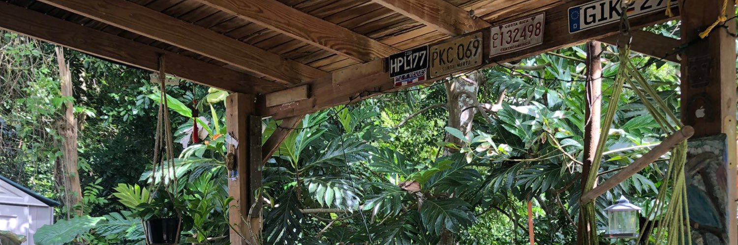 AlpinsW's profile banner image
