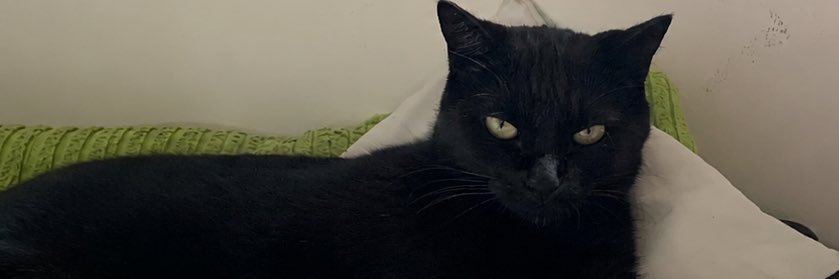 lu_novaess's profile banner image