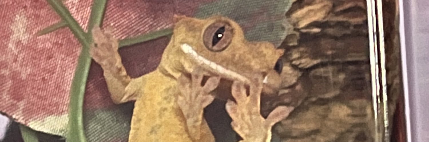 Knoke1's profile banner image