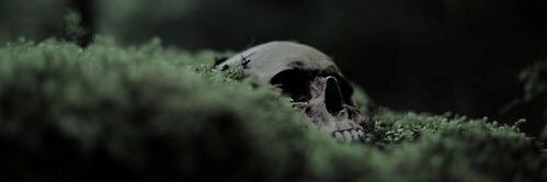 DragonessNymph's profile banner image