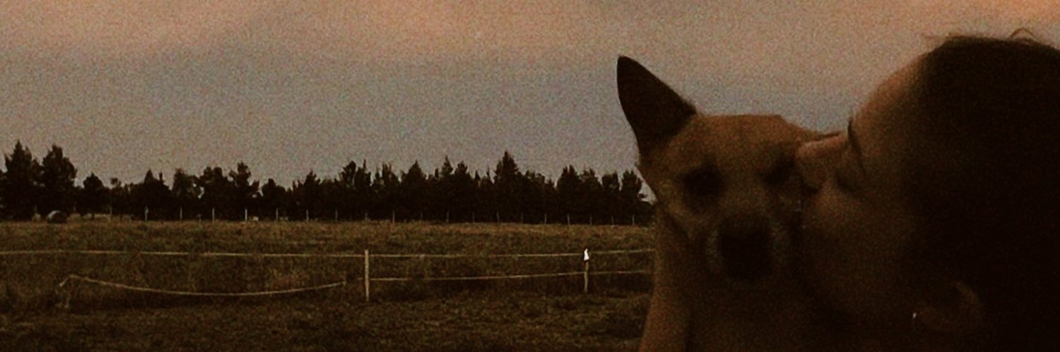 VickiCandido's profile banner image