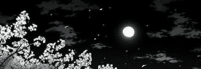 Bumpy0s's profile banner image