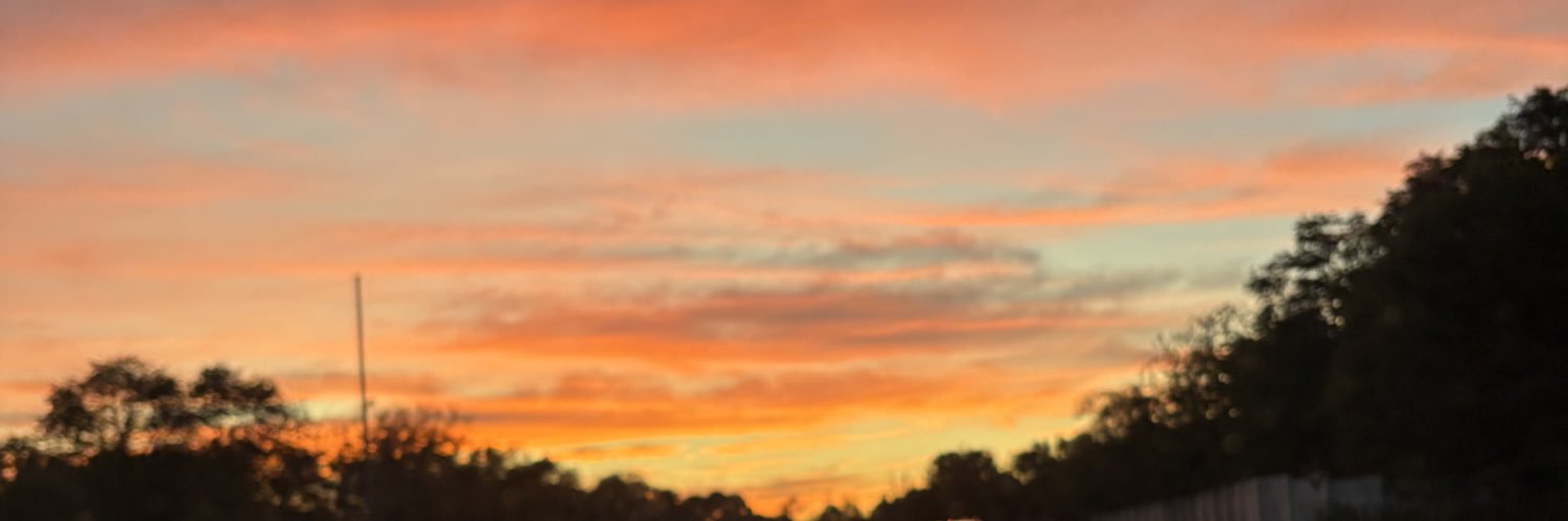 _rayvenxo's profile banner image