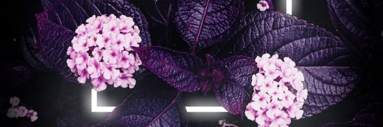 xxxtup's profile banner image