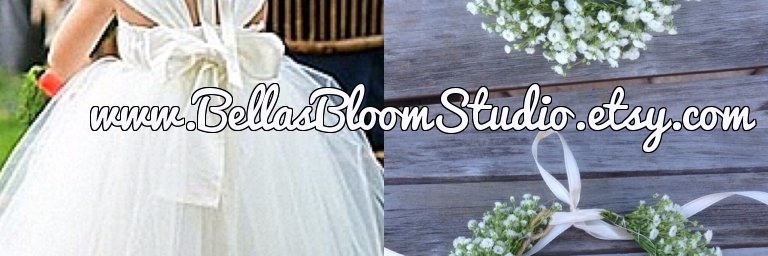 BellasBloom's profile banner image