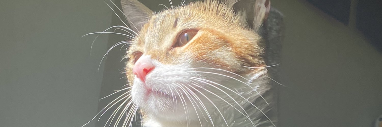 Pachii_'s profile banner image